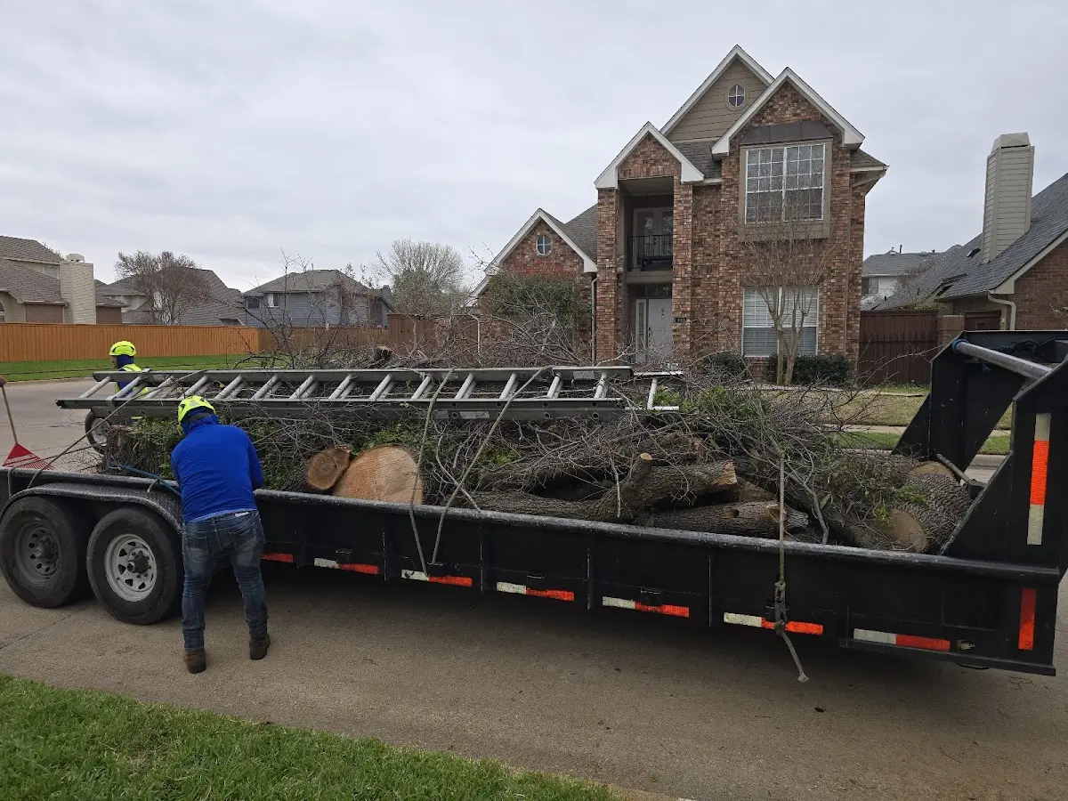 Expert Tree Removal with proper safety equipment in Grandview